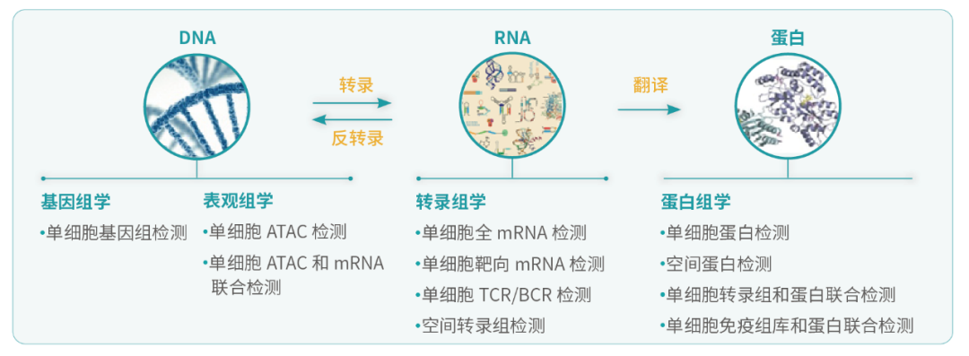 微信圖片_20230207162946.png